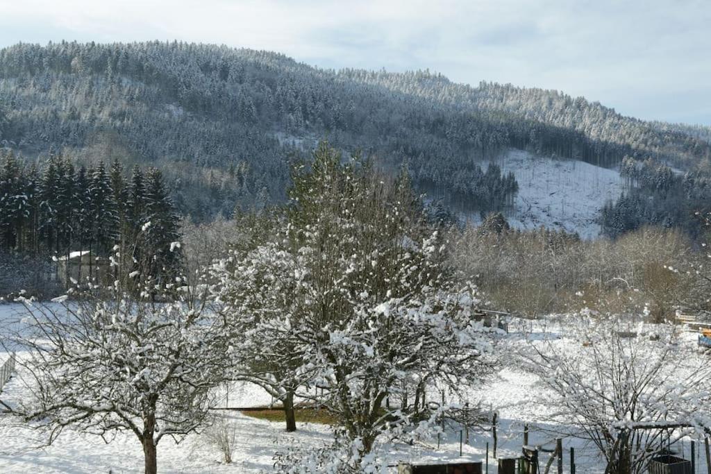 Chez Vovone 3 Etoiles Clevacances Saulxures-sur-Moselotte Bagian luar foto