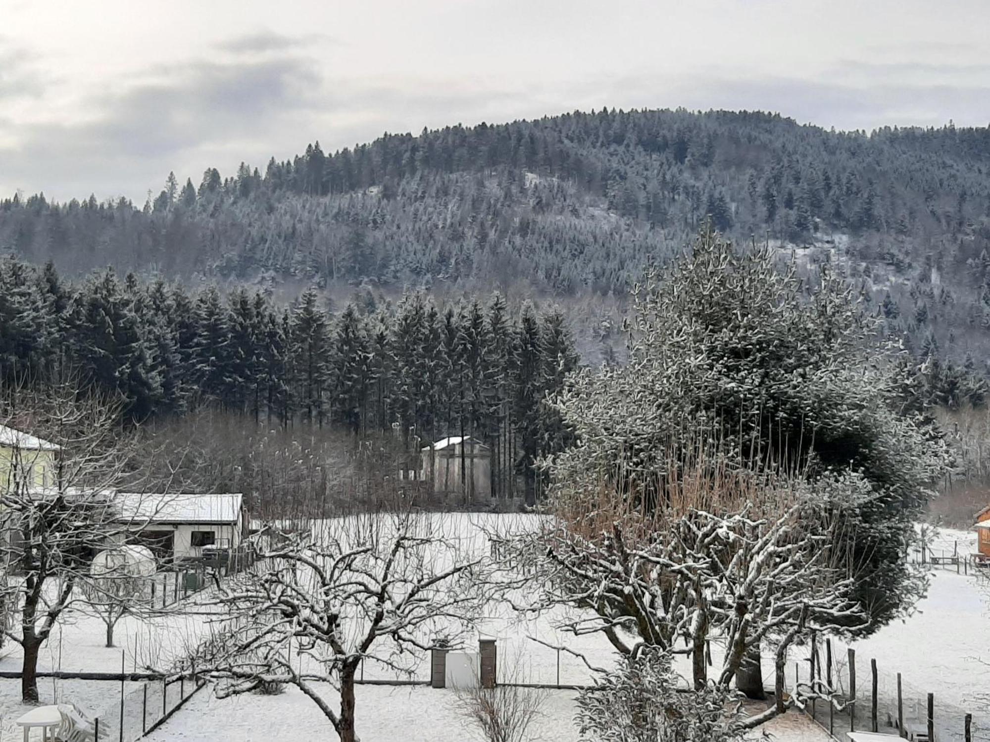 Chez Vovone 3 Etoiles Clevacances Saulxures-sur-Moselotte Bagian luar foto