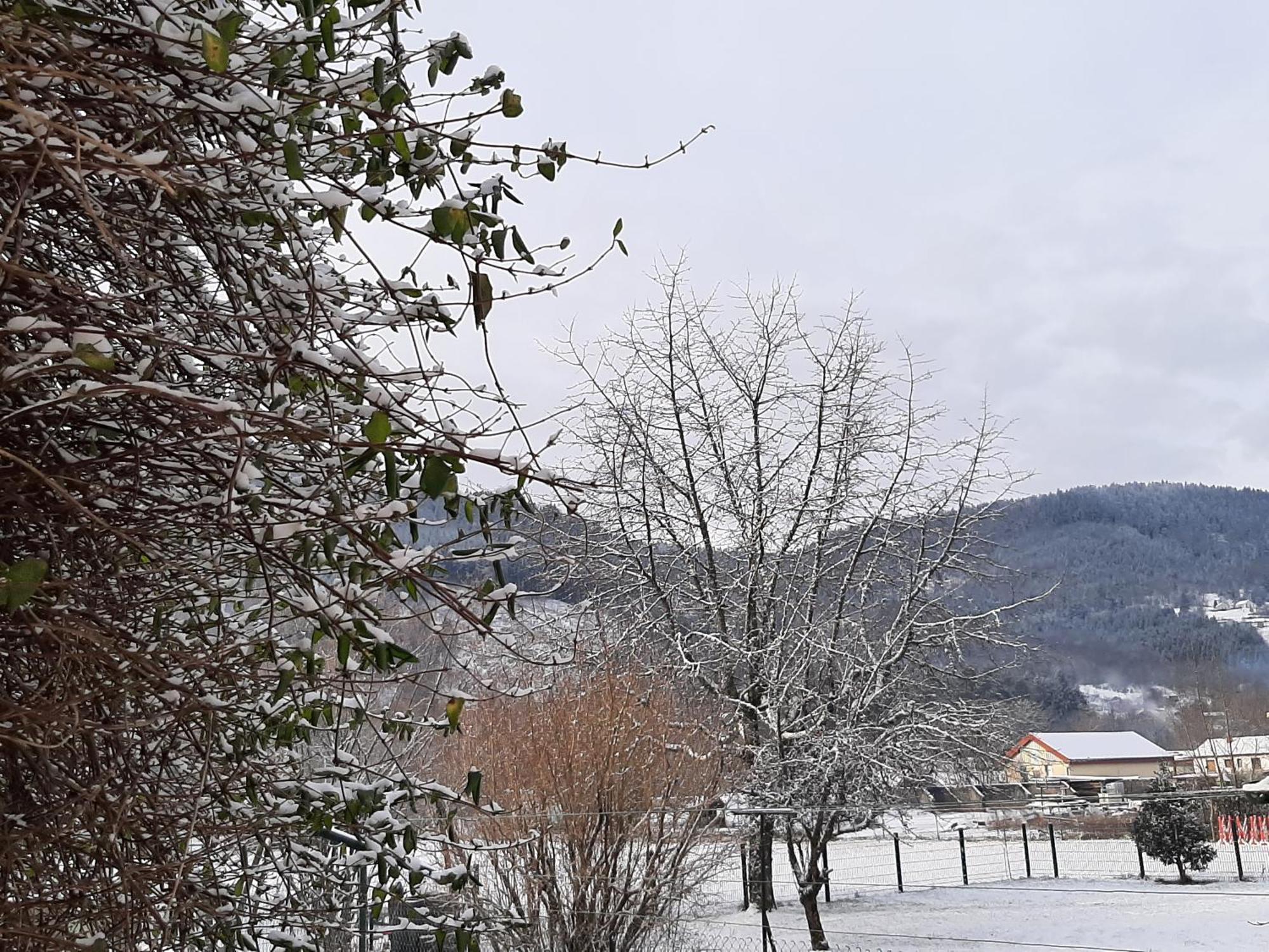 Chez Vovone 3 Etoiles Clevacances Saulxures-sur-Moselotte Bagian luar foto