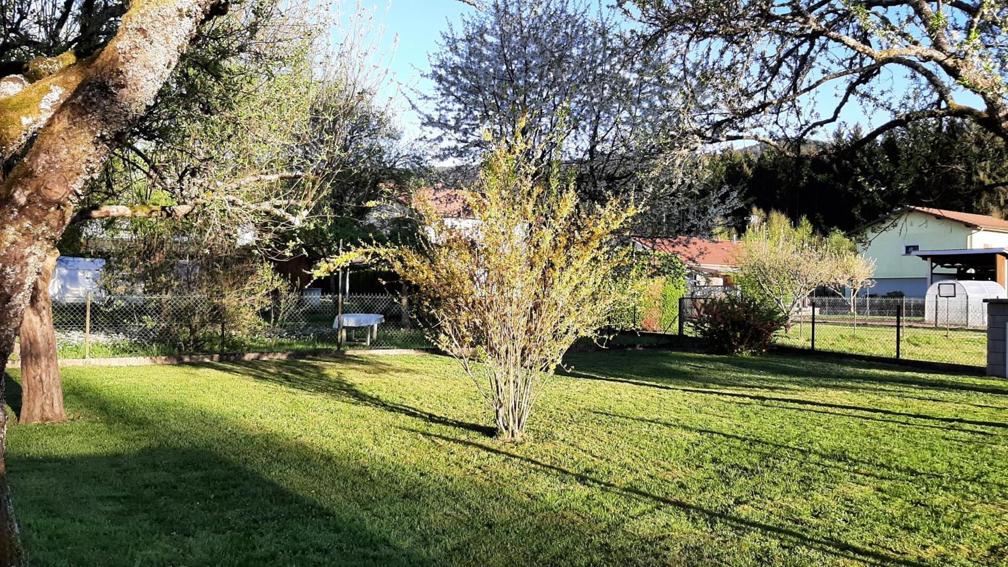 Chez Vovone 3 Etoiles Clevacances Saulxures-sur-Moselotte Bagian luar foto