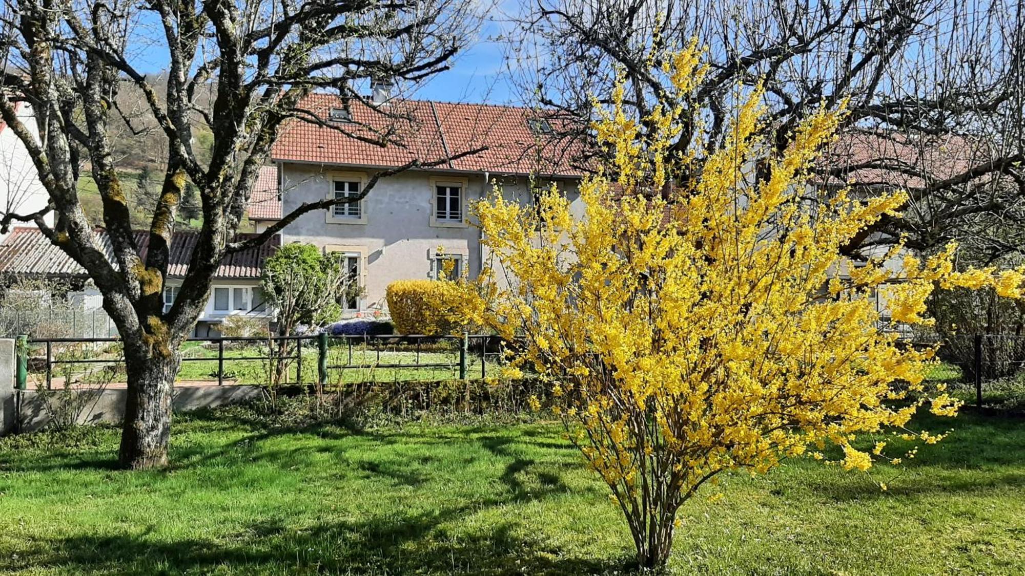 Chez Vovone 3 Etoiles Clevacances Saulxures-sur-Moselotte Bagian luar foto